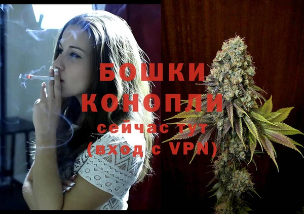 дурь Горно-Алтайск
