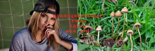 дурь Горно-Алтайск