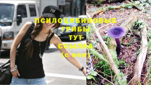мдма Горнозаводск